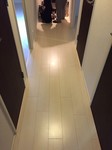 20160607_9421_0.jpg