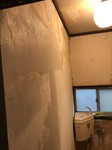 20180410_180411_0001.jpg