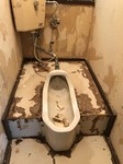 20180410_180411_0004.jpg