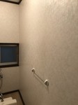 20180410_180411_0025.jpg