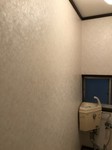 20180410_180411_0026.jpg